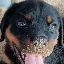 Oscar's avatar